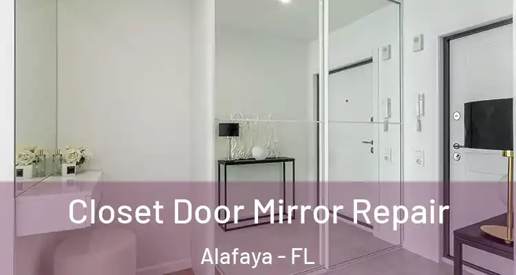 Closet Door Mirror Repair Alafaya - FL