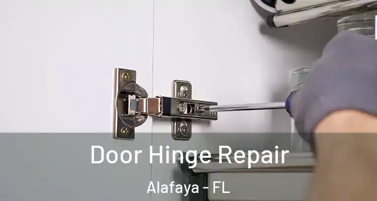 Door Hinge Repair Alafaya - FL