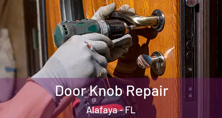 Door Knob Repair Alafaya - FL