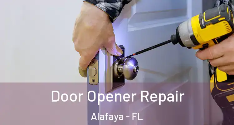 Door Opener Repair Alafaya - FL
