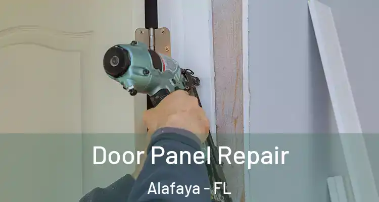 Door Panel Repair Alafaya - FL