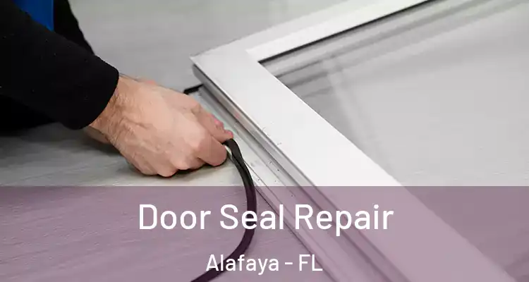 Door Seal Repair Alafaya - FL