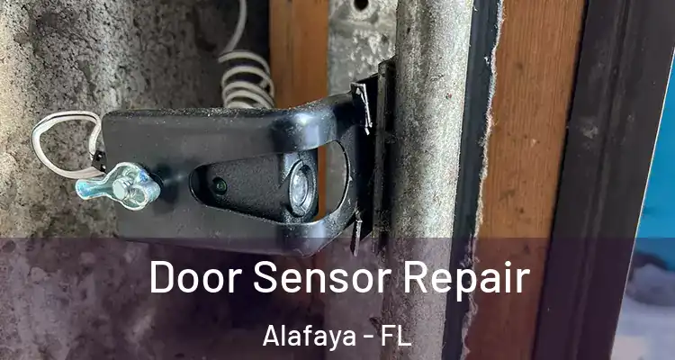 Door Sensor Repair Alafaya - FL