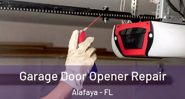 Garage Door Opener Repair Alafaya - FL