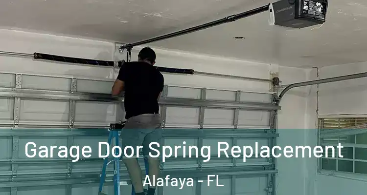 Garage Door Spring Replacement Alafaya - FL