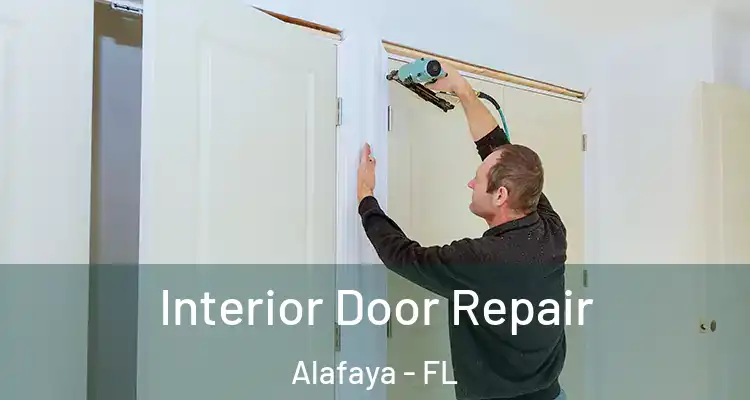 Interior Door Repair Alafaya - FL