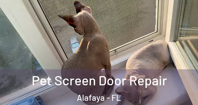 Pet Screen Door Repair Alafaya - FL