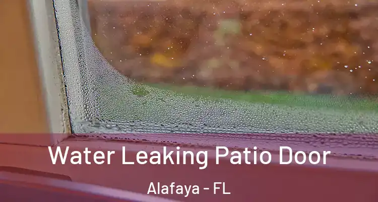 Water Leaking Patio Door Alafaya - FL