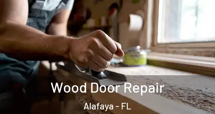 Wood Door Repair Alafaya - FL